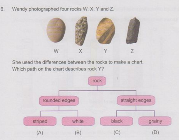 ICAS Science